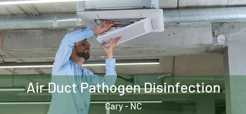 Air Duct Pathogen Disinfection Cary - NC