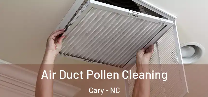  Air Duct Pollen Cleaning Cary - NC