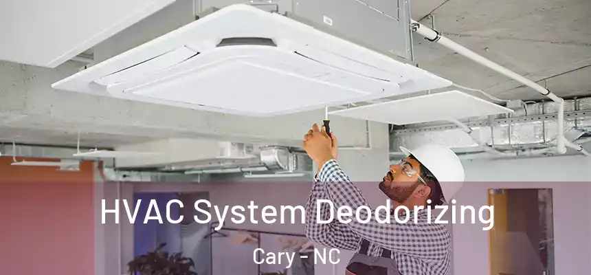 HVAC System Deodorizing Cary - NC
