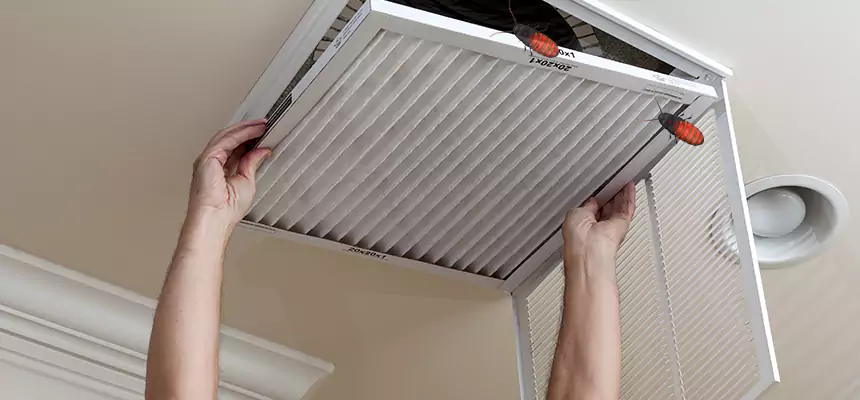 Preventive Cockroach-Proofing for Ducts in Cary