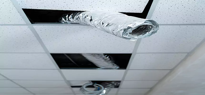 Our Air Duct Pet Hair Removal Services in Cary, NC