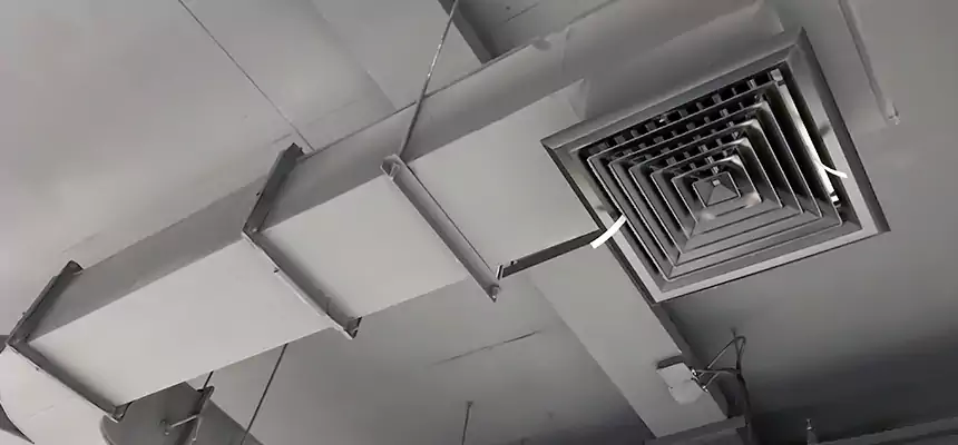 Restorative Allergy Relief Vent Cleaning – Coil, Blower & Housing Detail in Cary