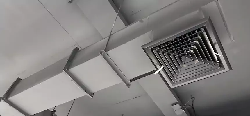 Our Rodent Droppings In Vents Services in Cary, NC