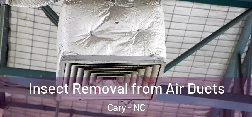  Insect Removal from Air Ducts Cary - NC