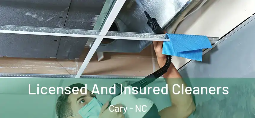 Licensed And Insured Cleaners Cary - NC