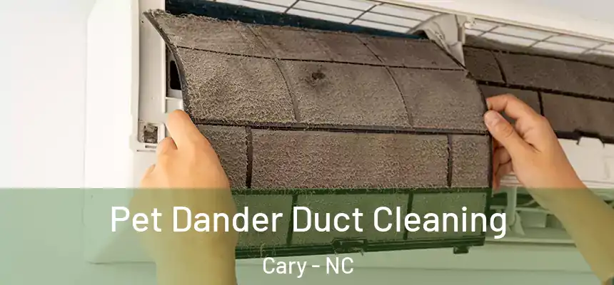 Pet Dander Duct Cleaning Cary - NC
