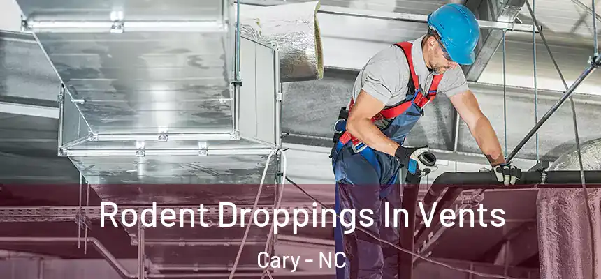Rodent Droppings In Vents Cary - NC