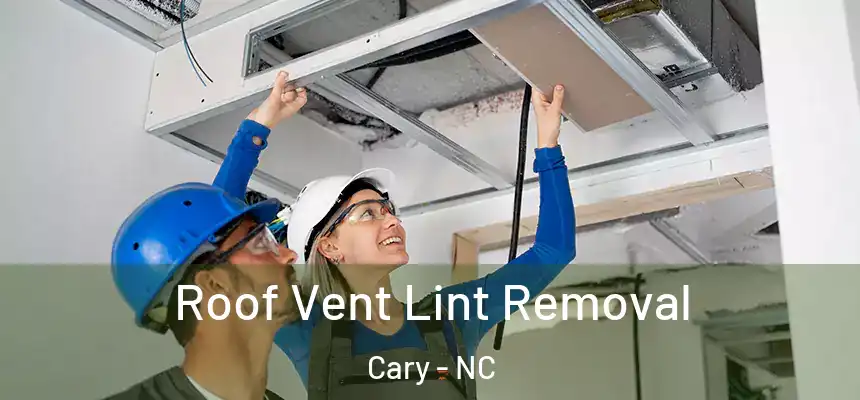 Roof Vent Lint Removal Cary - NC