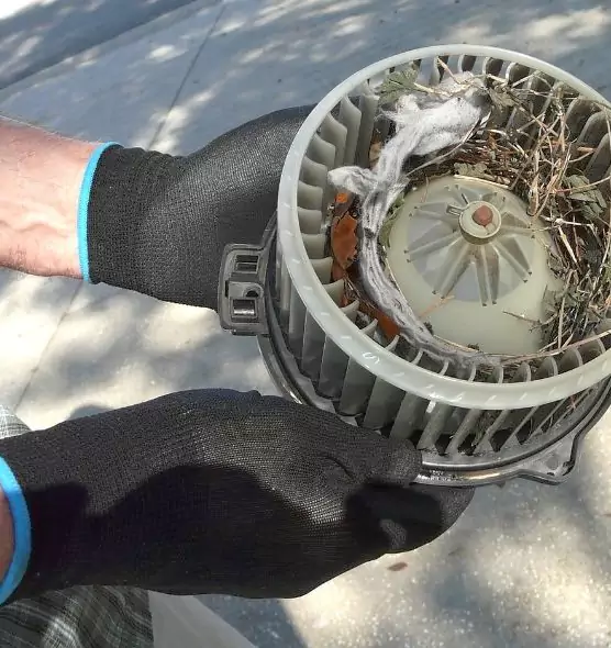 About Air Duct Mice Removal in Cary, NC