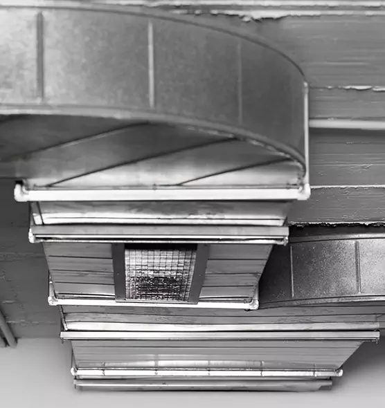 Professional Air Duct Pet Hair Removal in Cary, NC