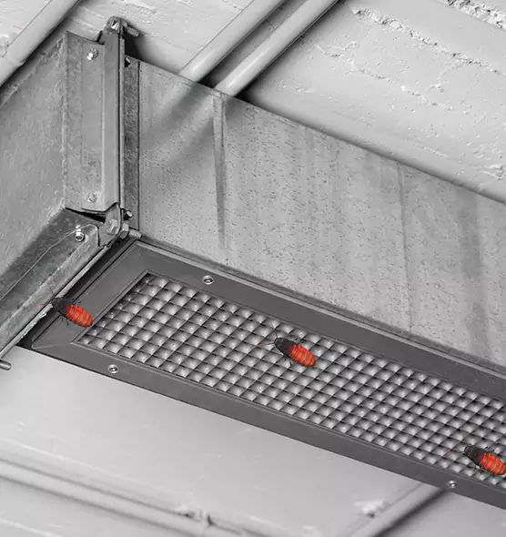 Affordable Insect Removal from Air Ducts in Cary, NC