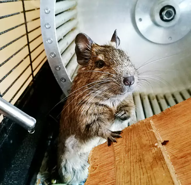 Why Homeowners & Businesses Trust Us Cary, NC