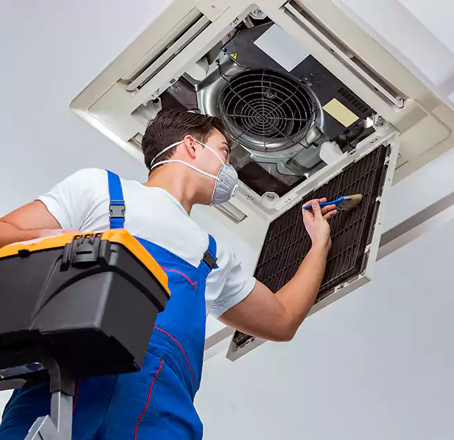 Why Homeowners & Businesses Trust Us in Cary, NC