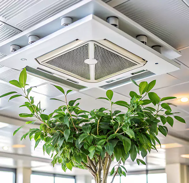 Why Homeowners & Businesses Trust Us in Cary, NC?