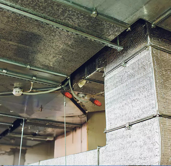 Why Homeowners & Businesses Trust Us Cary, NC?