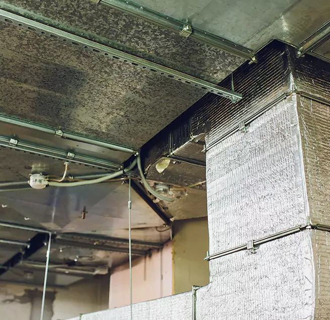 Why Homeowners & Businesses Trust Us in Cary, NC?