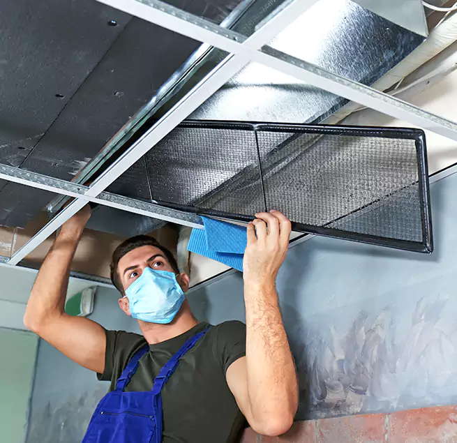 Why Homeowners Businesses Trust Us in Cary, NC?